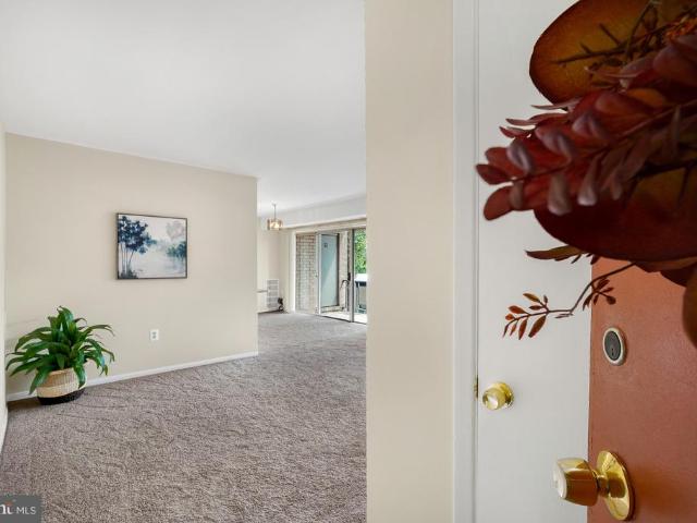 12205 Academy Way # 199 15