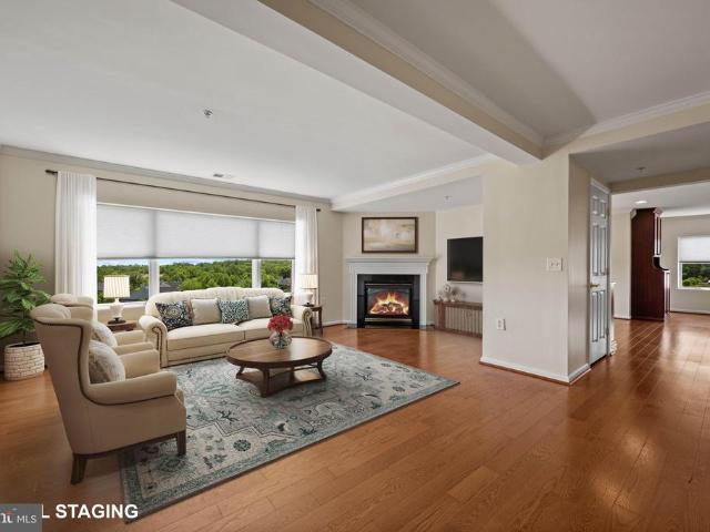 12236 Roundwood Road # 703
