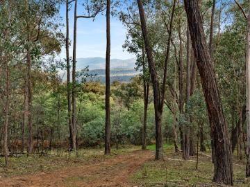 122 Acre Bush Block at Tatong