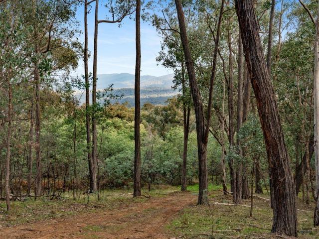 122 Acre Bush Block at Tatong