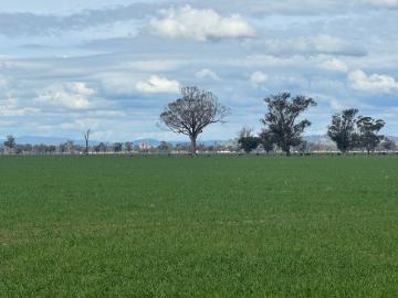 122 reapers Road Culcairn