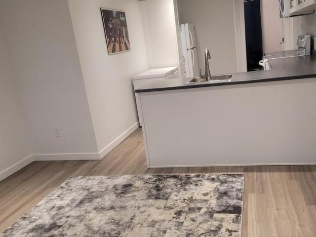 12380 2 Bedroom Apartment for Rent at 12380 132 St Nw, Edmonton, AB T5L 1P8 Sherbrooke