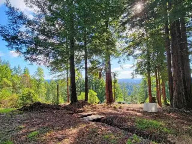 12301 DOCKER HILL RD, COMPTCHE, CA 95427
