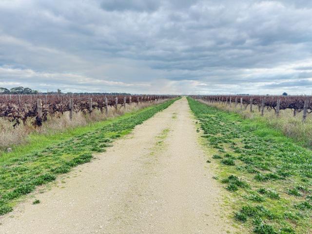 123 Acres of Prime Irrigated Cropping/Grazing/Horticultural Land Minutes from Penola