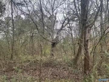 123 HITT RD, DECATUR, AL 35603