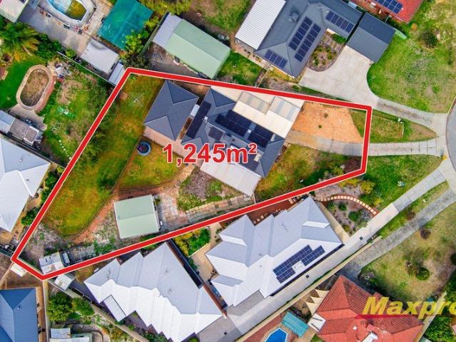 Double Income Spacious Family Home + Separate Studio 1,245sqm of Opportunity