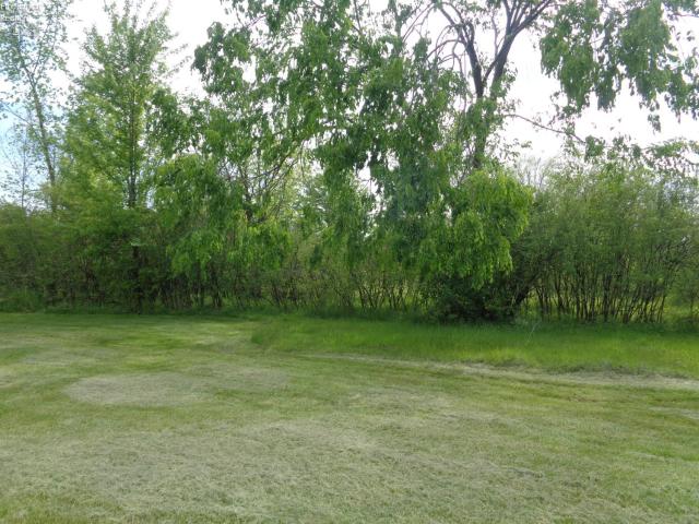 1246 Greenfield Drive