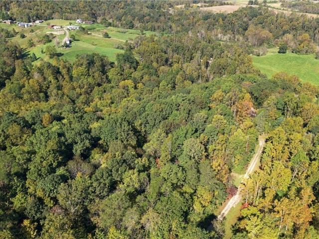 1249 Twin Bridge Road