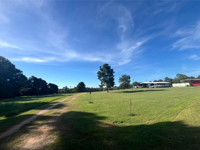12419 Private Road 1390, Centerville, TX 75833 | MLS #25008
