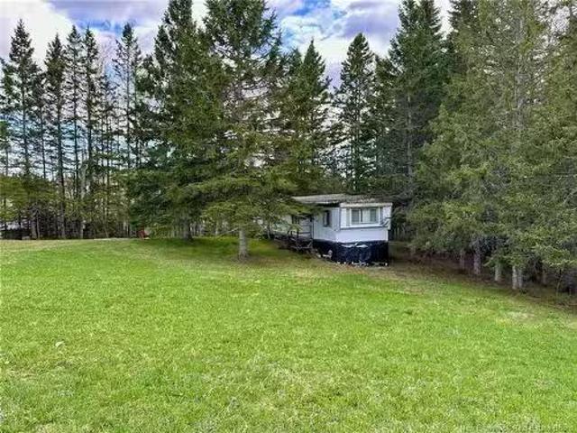 124 Francoeur Hill Rd, New Denmark, NB, E7G 1R3 house for sa.