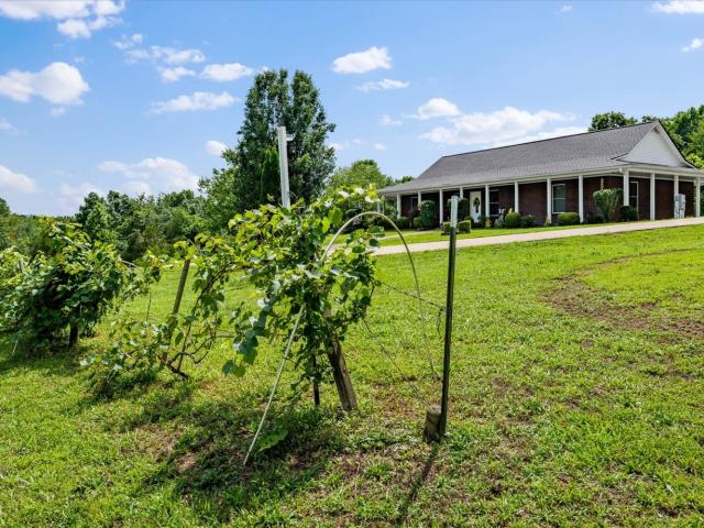 124 Napier Rd