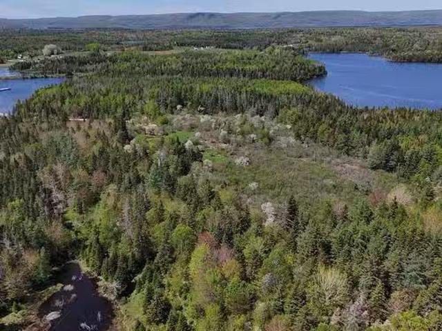 124 Stoney Point Rd, Orangedale, NS, B0E 2M0 vacant land for.