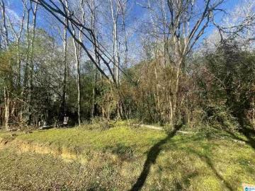 124 ROSS ST # 124, ADAMSVILLE, AL 35005