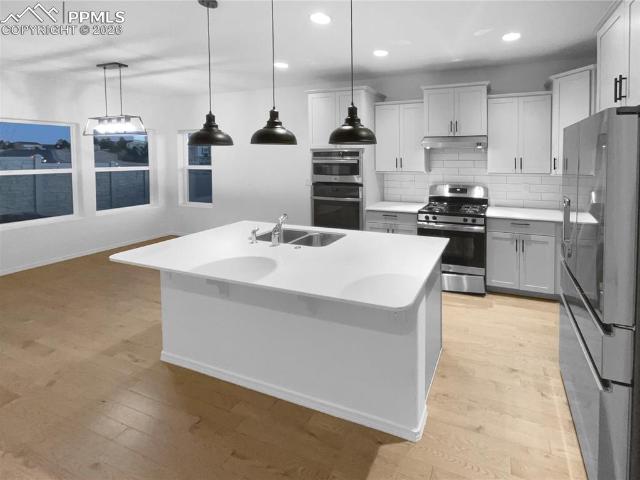 12590 Granite Springs Pl, Peyton, CO 80831 | MLS #7460