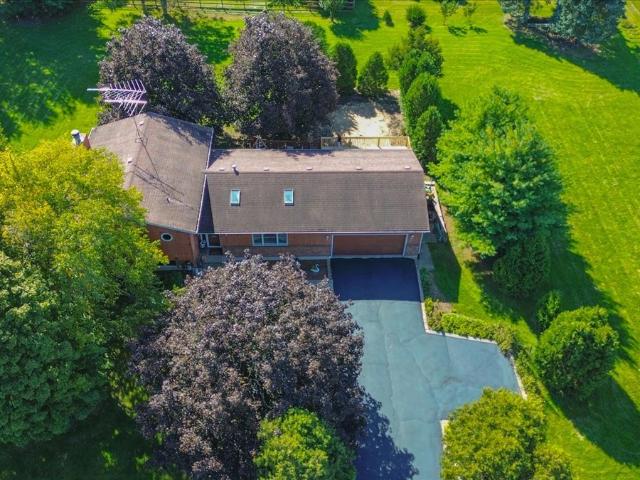 12504 Pine Drive