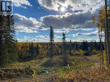 12521 Braeside Road, Vanderhoof, BC, V0J 3A2 vacant land for.