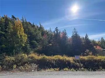 125 129 New Harbour Road, Spaniards Bay, NL, A0A 3X0 vacant.