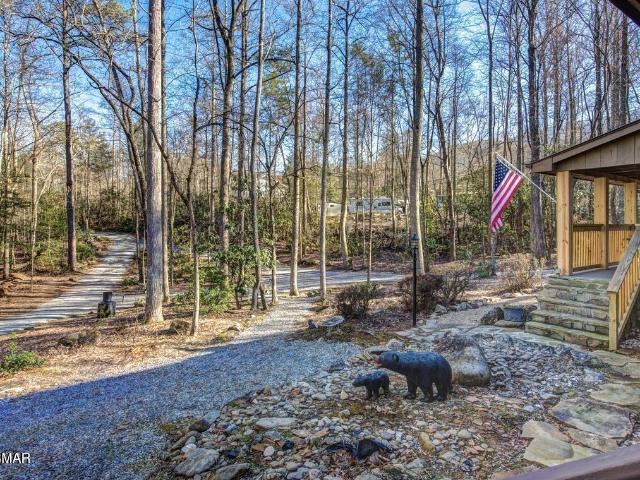 125 Cricket Hollow Way