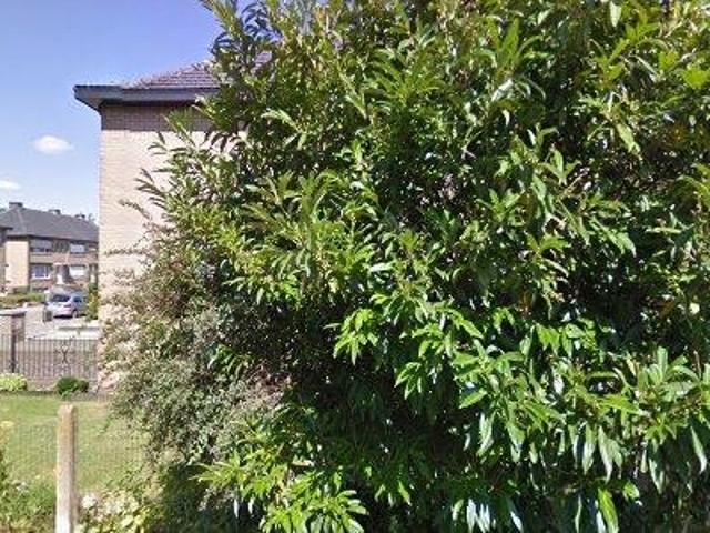 125 m2 apartment for rent in Diest
