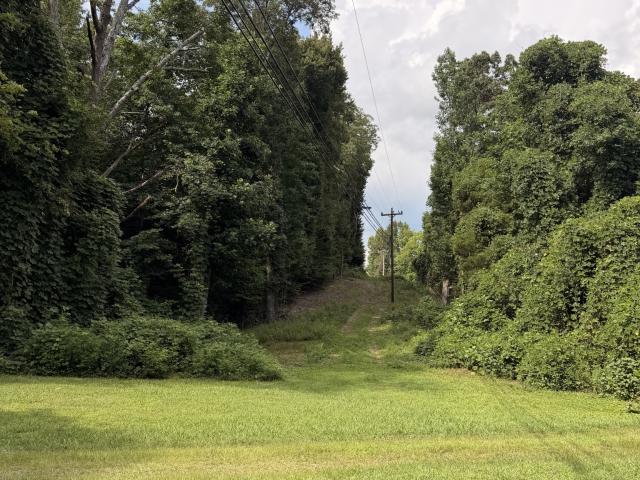 1264 Blanton Chapel Rd
