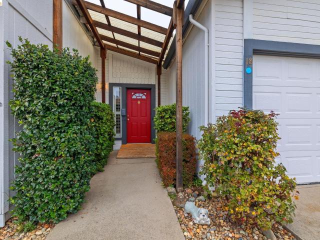12660 Red Chesnut #18