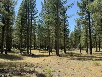 1269 VALLEY RANCH DR, CLIO, CA 96106