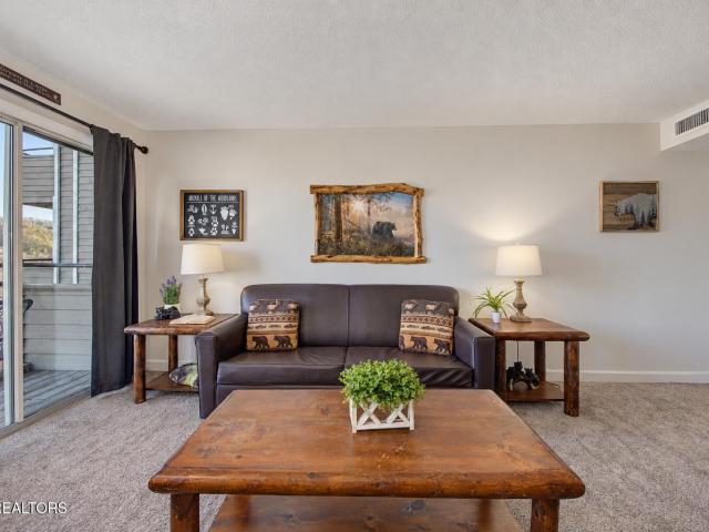 1260 Ski View Drive APT 8204