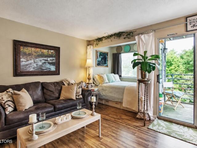 1260 Ski View Drive APT 2207