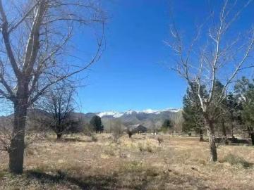 1263 EASTSIDE LN # 027, COLEVILLE, CA 96107