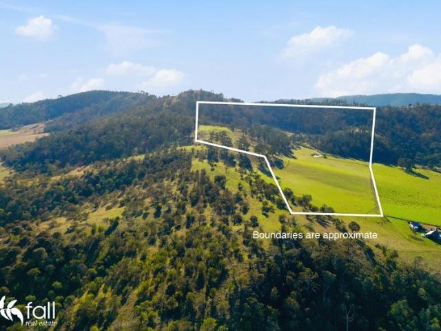 126 Acres of Opportunity Create the Lifestyle You've Always Dreamed Of