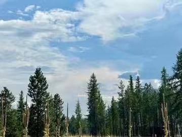 126 Ponderosa Point, Kimberley, BC, V1A 0A5 vacant land for.