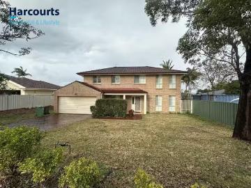 Tuggerah Lake, Jilliby, Wyong Region, Snapper Island