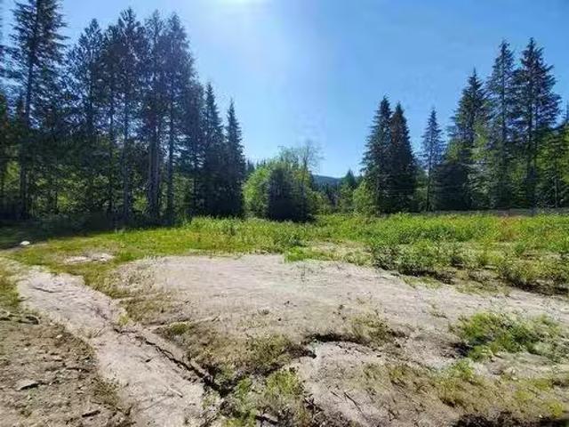 12767 Cardinal Street, Mission, BC, V4S 1L3 vacant land for.