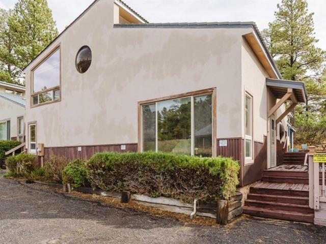 1288 Cloud Cap Ave Unit 10, Pagosa Springs, CO 81147