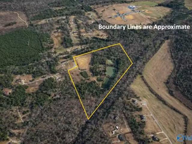 1280 MACK ALEXANDER RD, PIEDMONT, AL 36272