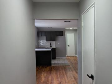 Beautiful Studio Apartment in Irvington NJ!