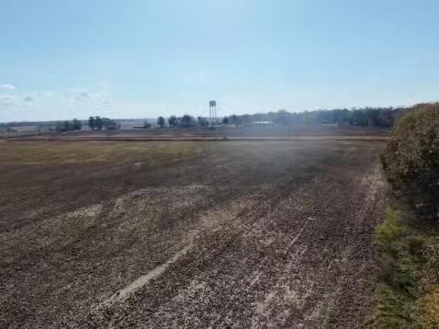 1282 MAIN ST, KNOBEL, AR 72435