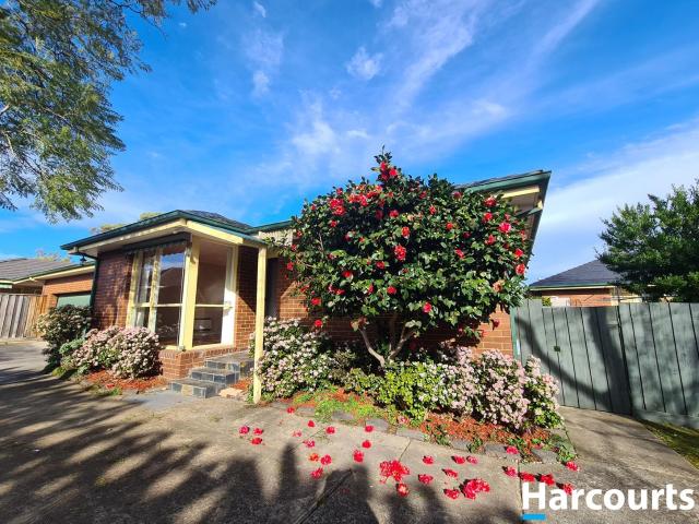 12/8 12 Mcclares Road, VERMONT, VIC 3133