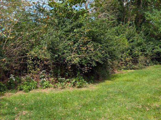 128 Bordic Road