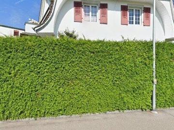 Thoracker, Muri bei Bern, Verwaltungsregion Bern-Mittelland, Kanton Bern