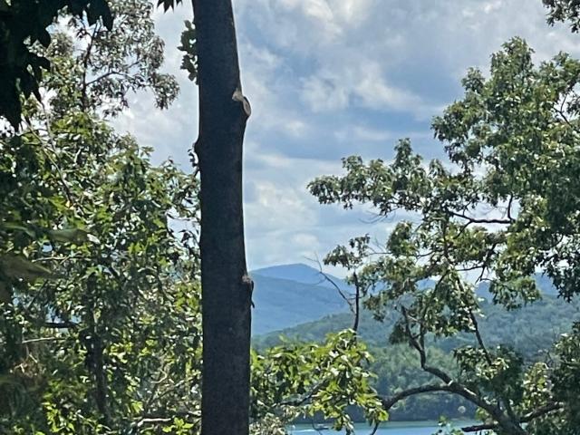 128 Manor Dr, Hayesville, NC 28904 | MLS #98525