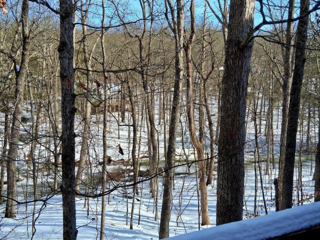 128 Meadow View Ct, Bushkill, PA 18324 | MLS #SC260325