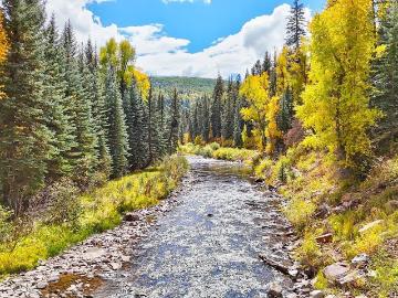 12948 Road 44.2, Dolores, CO 81323 | MLS #828990