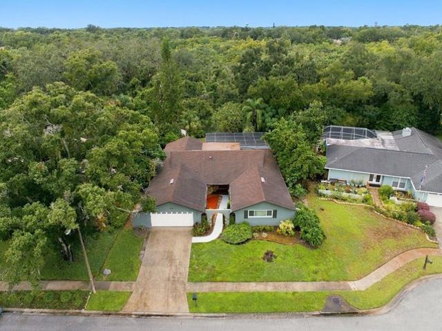 1297 Peach Tree Dr, Dunedin, FL 34698