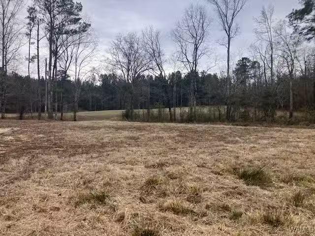 12990 NORTHSIDE RD, NORTHPORT, AL 35475