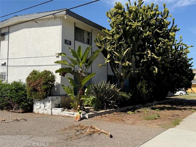 12905 Palm