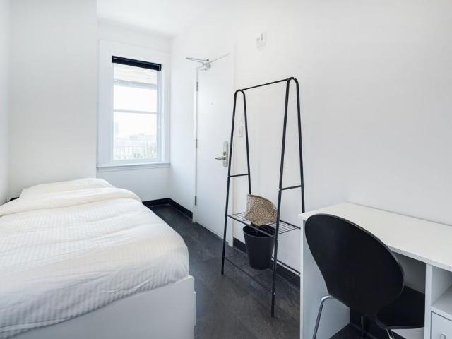 1290 Avenue des Pins Ouest apartment — Montréal, QC 1 Bedroom 1 Bedroom