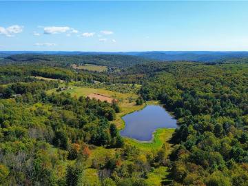 1290 Ayres Rd, Gillett, PA 16925 | MLS #R1664