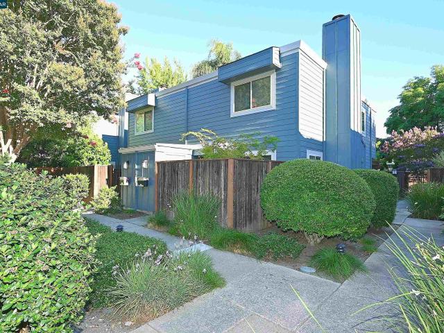 1290 Honey Trail