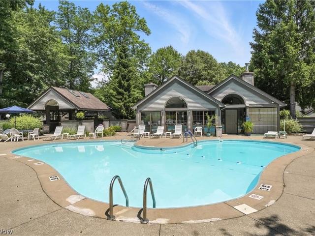 1293 Redtail Hawk Drive 4